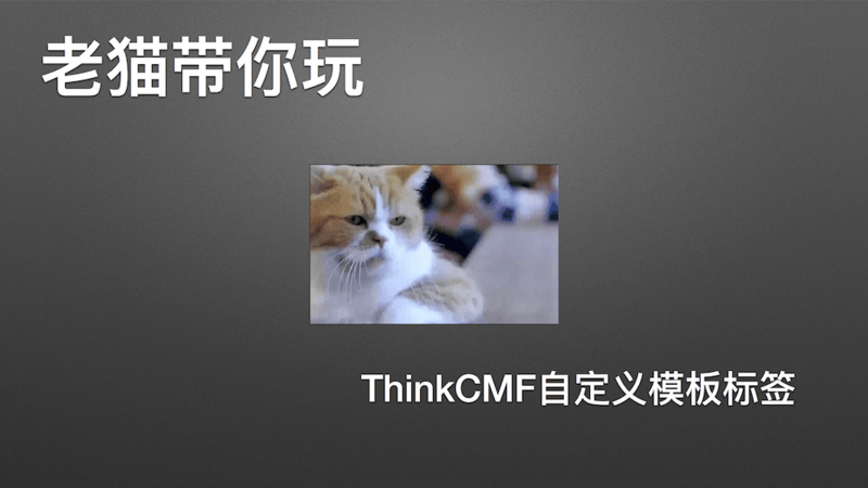 ThinkCMF 自定义模板标签