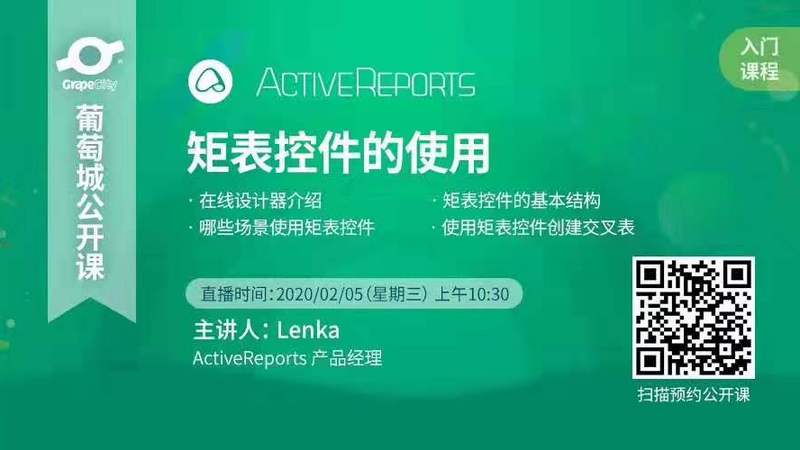 ActiveReports 矩表控件的使用