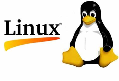 Linux 的力量